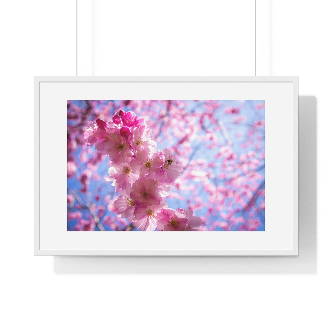 Japanese Cherry Blossom - Horizontal Framed Poster