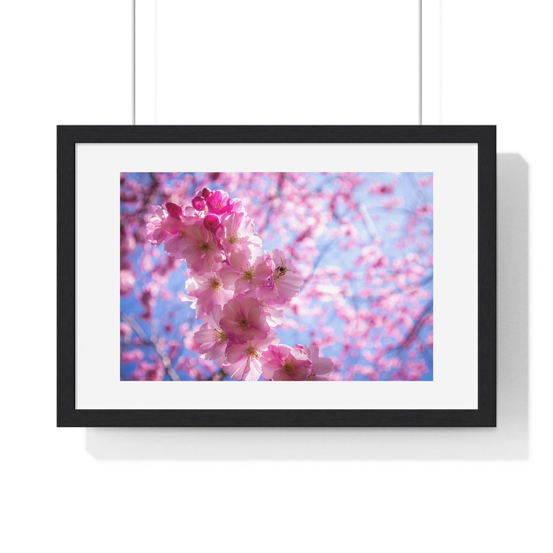 Japanese Cherry Blossom - Horizontal Framed Poster